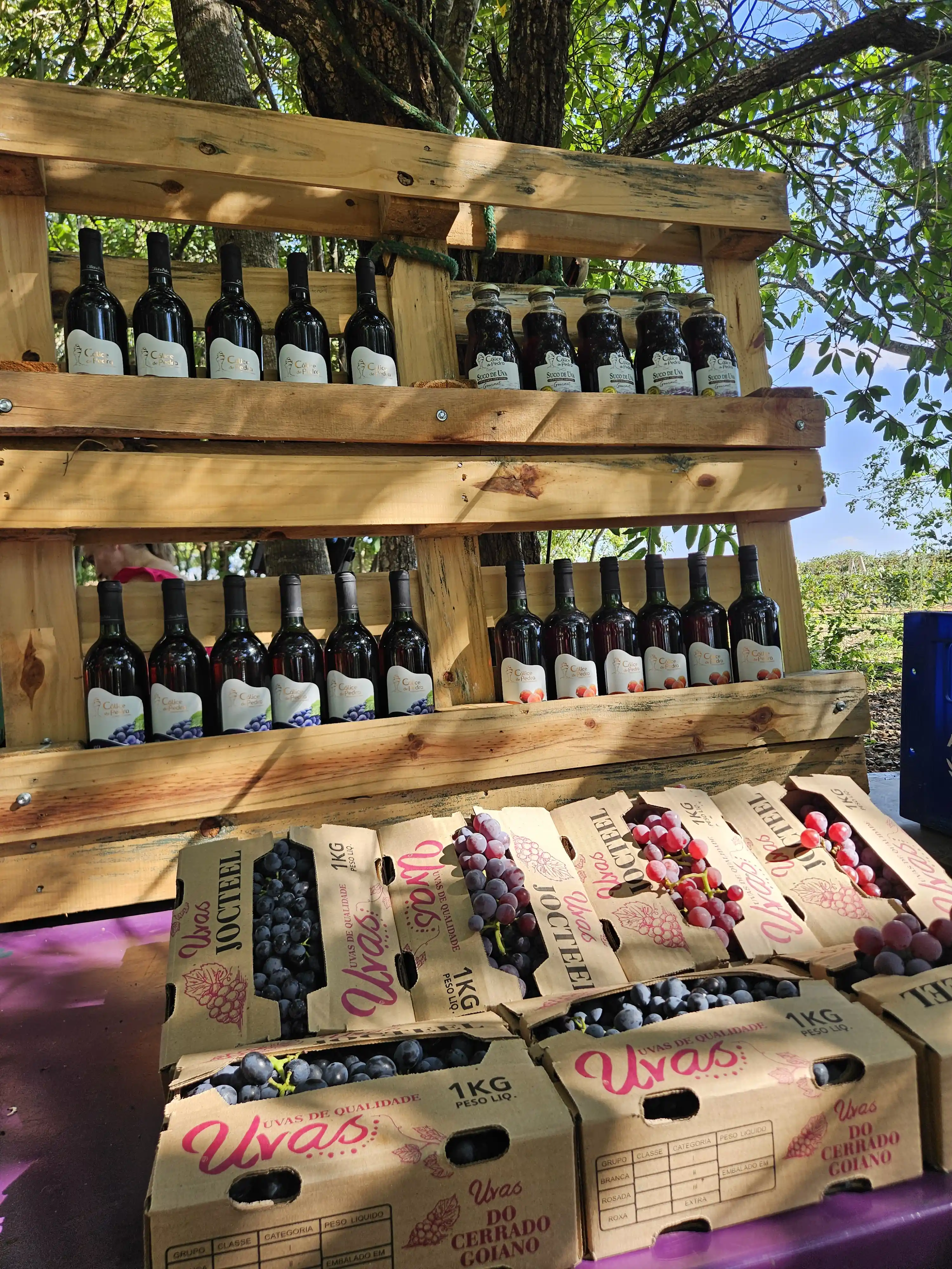 Vinhos e sucos